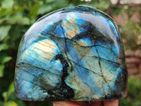 Polished Labradorite Standing Free Forms x 3 From Tulear, Madagascar - Toprock Gemstones and Minerals 