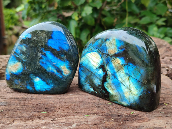 Polished Labradorite Standing Free Forms x 3 From Tulear, Madagascar - Toprock Gemstones and Minerals 