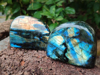 Polished Labradorite Standing Free Forms x 3 From Tulear, Madagascar - Toprock Gemstones and Minerals 
