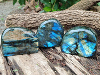 Polished Labradorite Standing Free Forms x 3 From Tulear, Madagascar - Toprock Gemstones and Minerals 