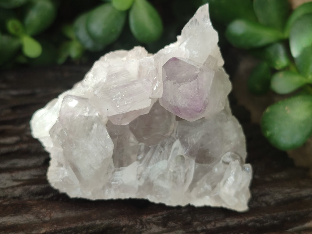 Natural Jacaranda Amethyst Quartz Crystals x 6 from Mumbwa, Zambia - Toprock Gemstones and Minerals 