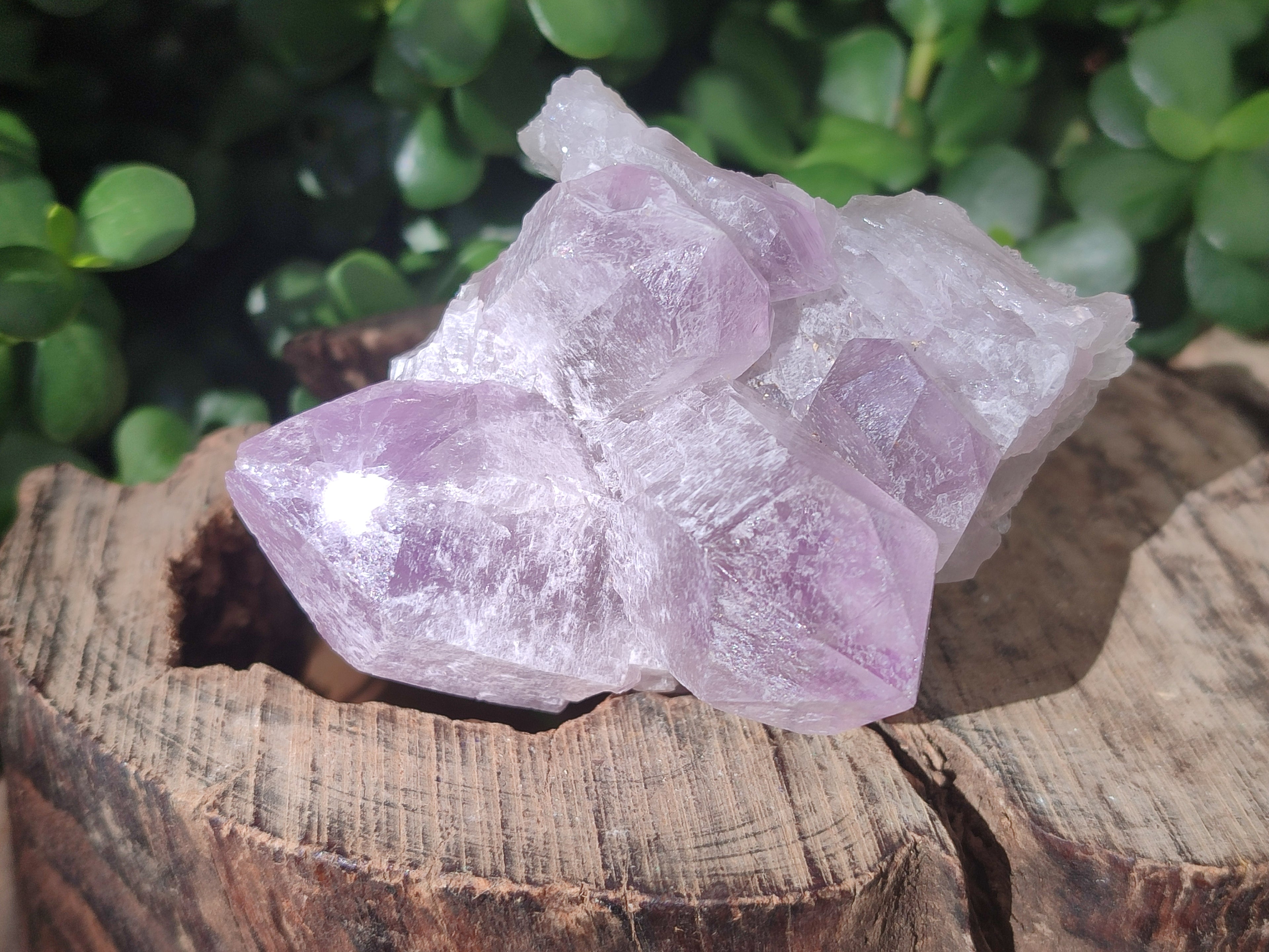 Natural Jacaranda Amethyst Quartz Crystals x 6 from Mumbwa, Zambia - Toprock Gemstones and Minerals 