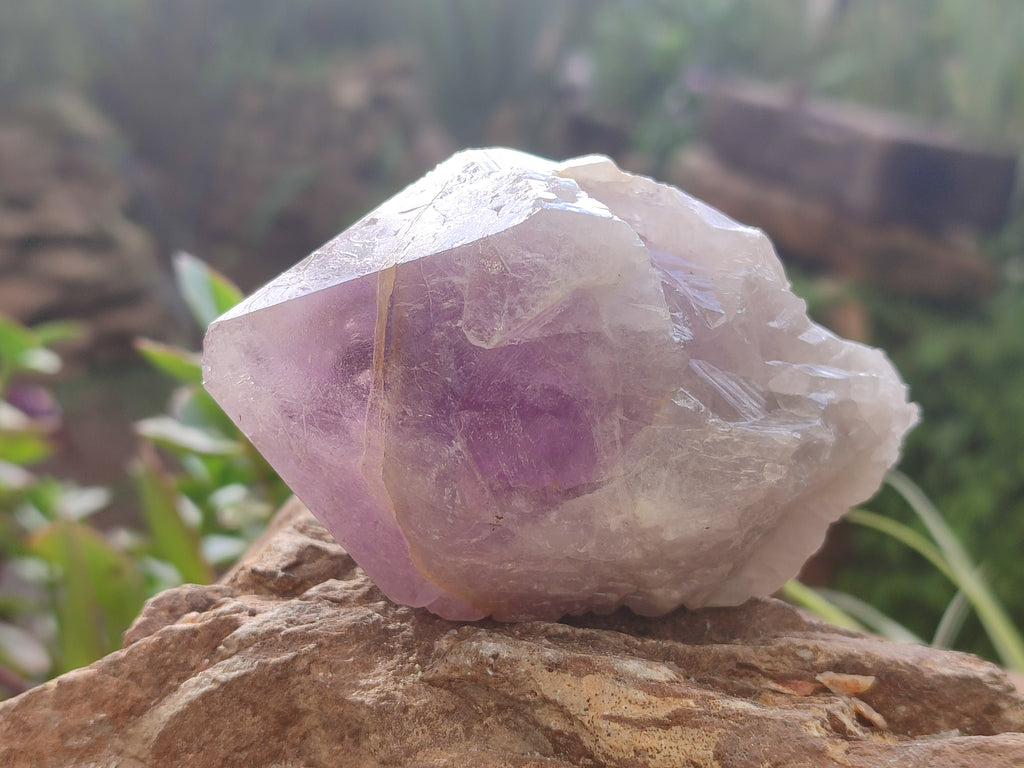 Natural Jacaranda Amethyst Quartz Crystals x 6 from Mumbwa, Zambia - Toprock Gemstones and Minerals 