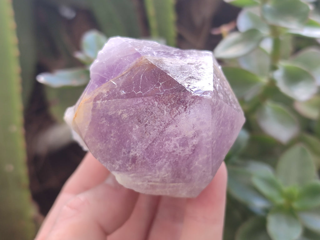 Natural Jacaranda Amethyst Quartz Crystals x 6 from Mumbwa, Zambia - Toprock Gemstones and Minerals 