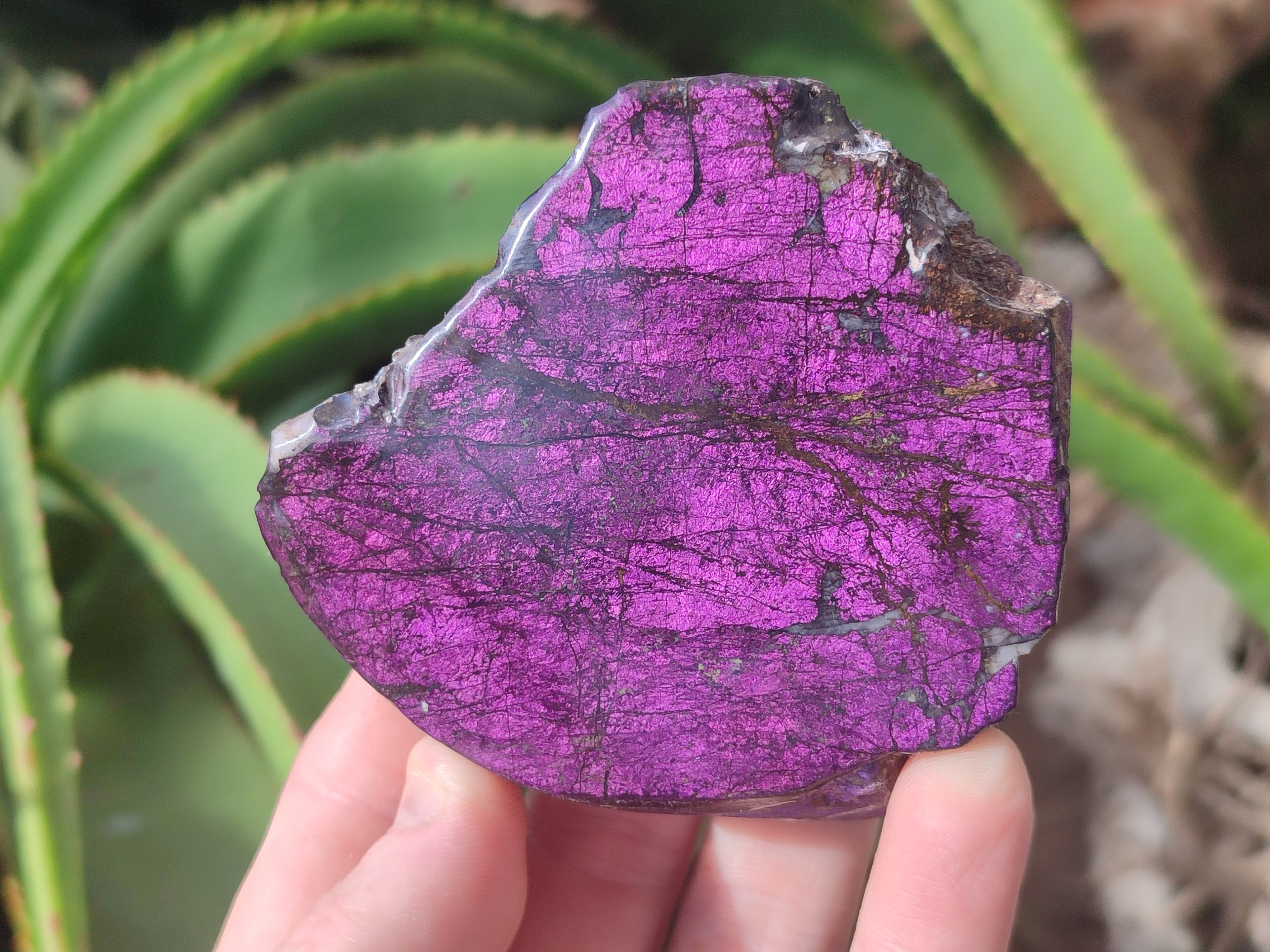 Polished On One Side Purpurite x 6 From Namibia - Toprock Gemstones and Minerals 