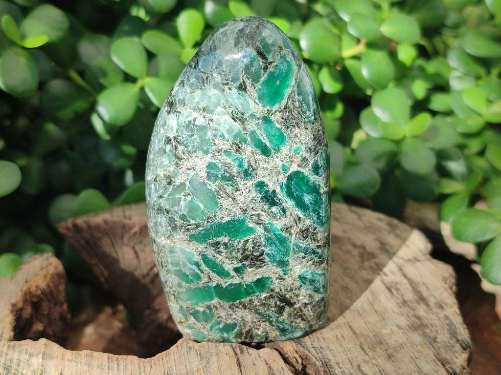Polished Rare Emerald Mica In Matrix Standing Free Forms x 4 From Mutoko, Zimbabwe - Toprock Gemstones and Minerals 