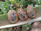 Polished Unakite Pendant with Hand Painted Zebra - Sold Per Item - From South Africa - Toprock Gemstones and Minerals 