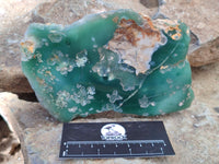 Polished On One Side Emerald Mtorolite Plates x 4 From Mutorashanga, Zimbabwe - Toprock Gemstones and Minerals 