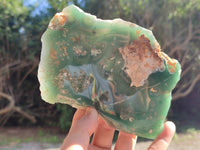 Polished On One Side Emerald Mtorolite Plates x 4 From Mutorashanga, Zimbabwe - Toprock Gemstones and Minerals 