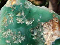 Polished On One Side Emerald Mtorolite Plates x 4 From Mutorashanga, Zimbabwe - Toprock Gemstones and Minerals 