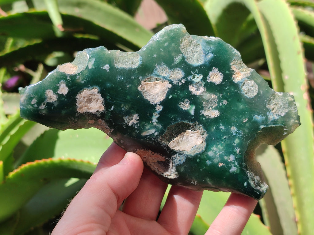 Polished On One Side Emerald Mtorolite Plates x 4 From Mutorashanga, Zimbabwe - Toprock Gemstones and Minerals 