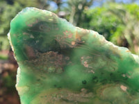 Polished On One Side Emerald Mtorolite Plates x 4 From Mutorashanga, Zimbabwe - Toprock Gemstones and Minerals 