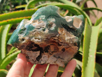Polished On One Side Emerald Mtorolite Plates x 4 From Mutorashanga, Zimbabwe - Toprock Gemstones and Minerals 
