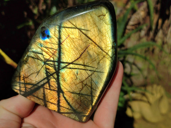 Polished Labradorite Standing Free Forms x 3 From Tulear, Madagascar - Toprock Gemstones and Minerals 