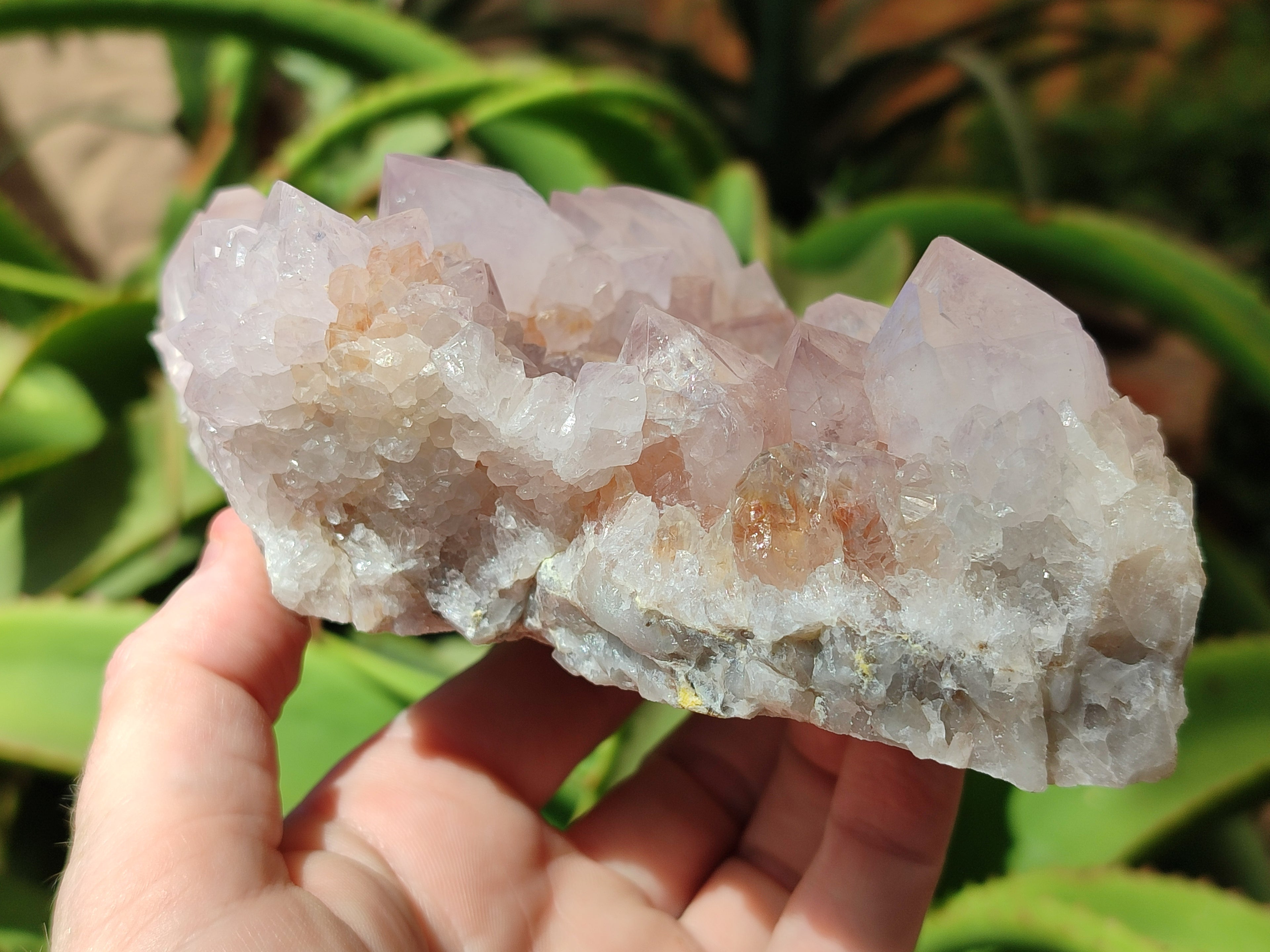 Natural Cactus Flower Spirit Quartz Cluster x 1 From Boekenhouthoek, South Africa - Toprock Gemstones and Minerals 