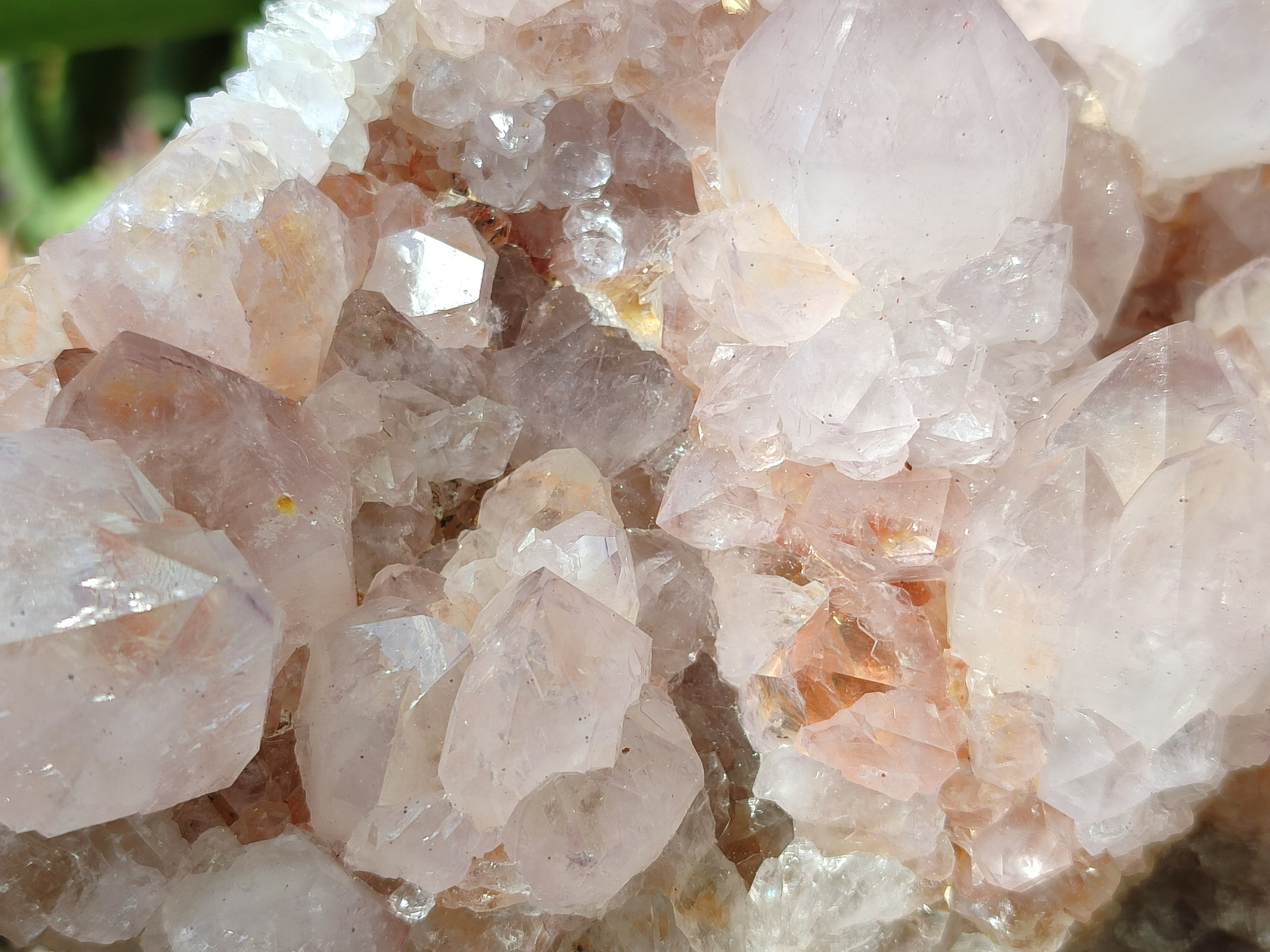 Natural Cactus Flower Spirit Quartz Cluster x 1 From Boekenhouthoek, South Africa - Toprock Gemstones and Minerals 