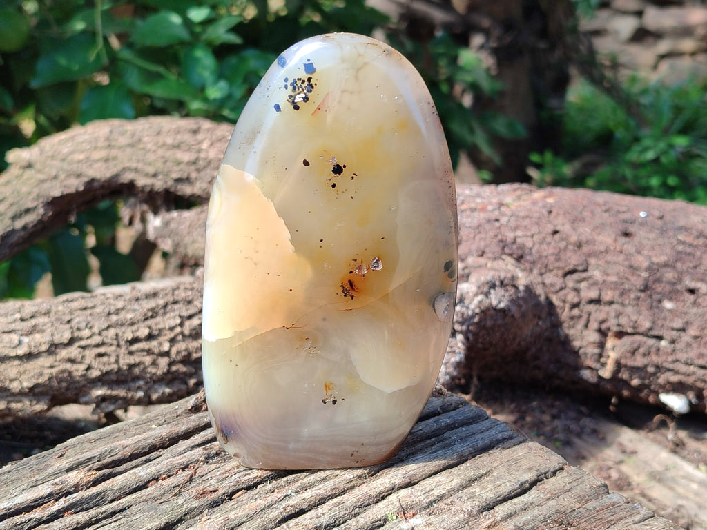 Polished Dendritic Agate Standing Free Forms x 2 From Madagascar - Toprock Gemstones and Minerals 