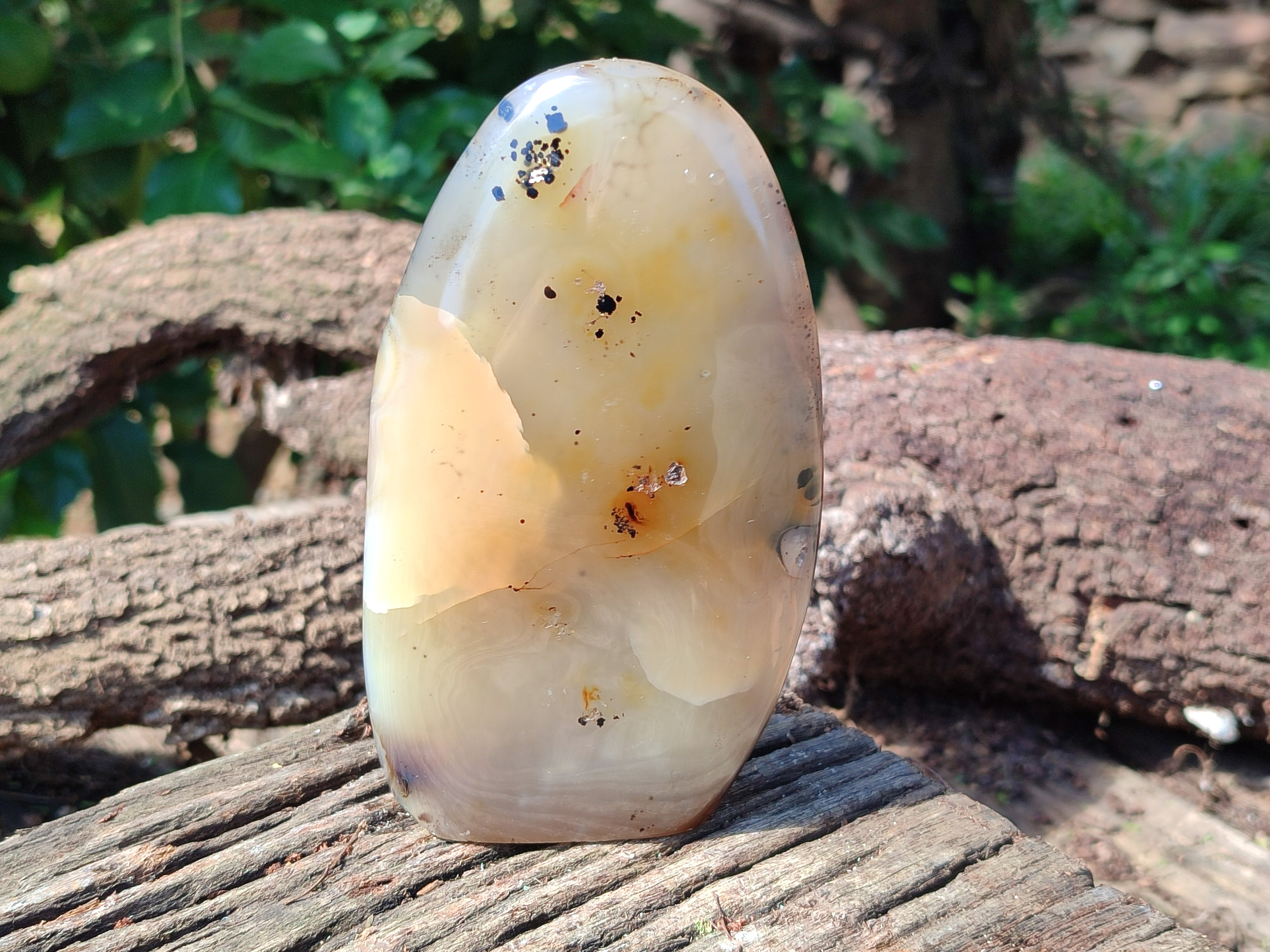 Polished Dendritic Agate Standing Free Forms x 2 From Madagascar - Toprock Gemstones and Minerals 