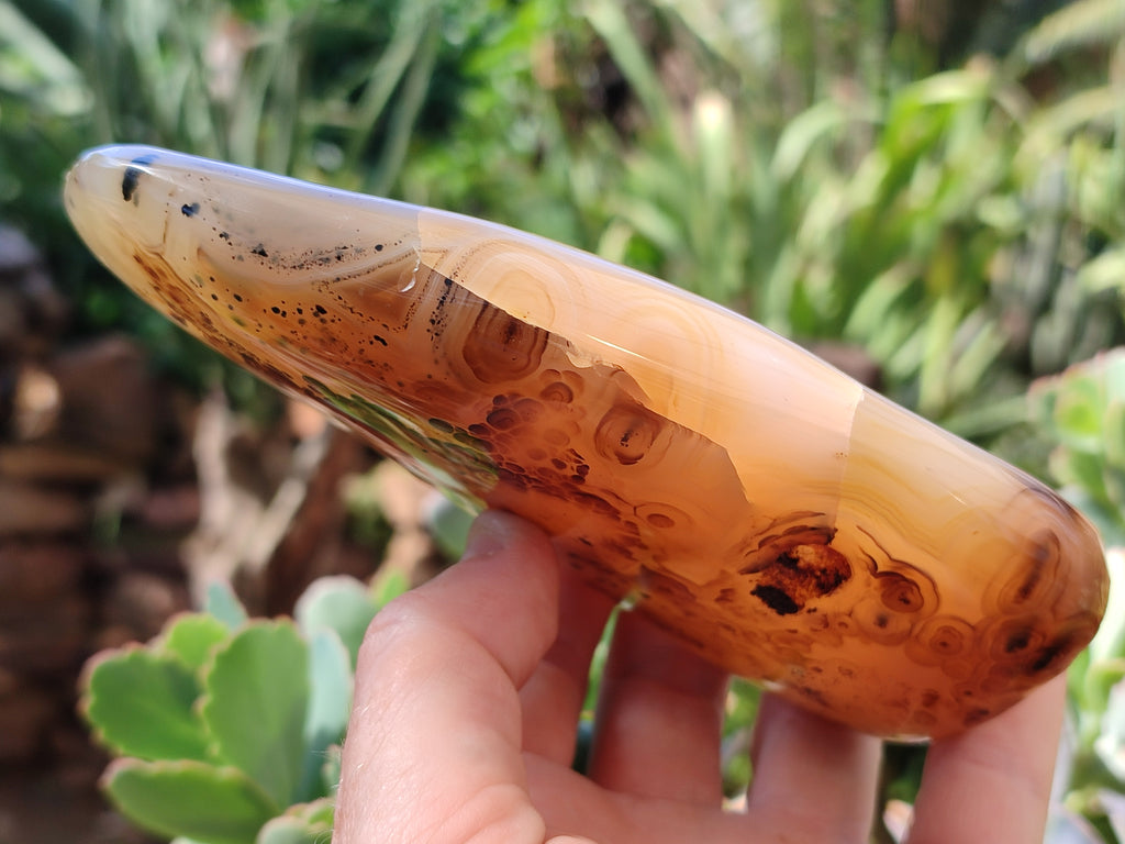 Polished Dendritic Agate Standing Free Forms x 2 From Madagascar - Toprock Gemstones and Minerals 