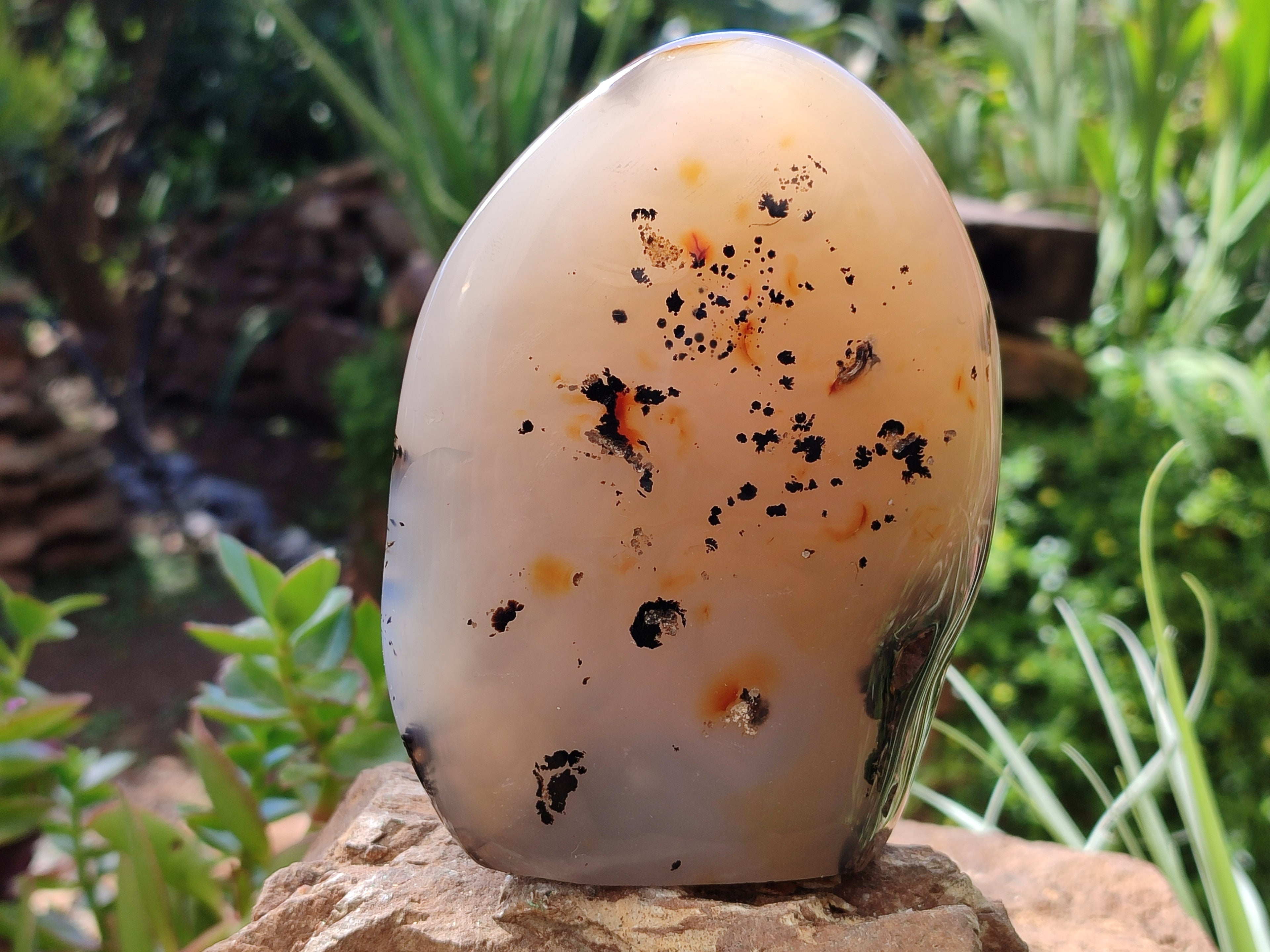 Polished Dendritic Agate Standing Free Forms x 2 From Madagascar - Toprock Gemstones and Minerals 