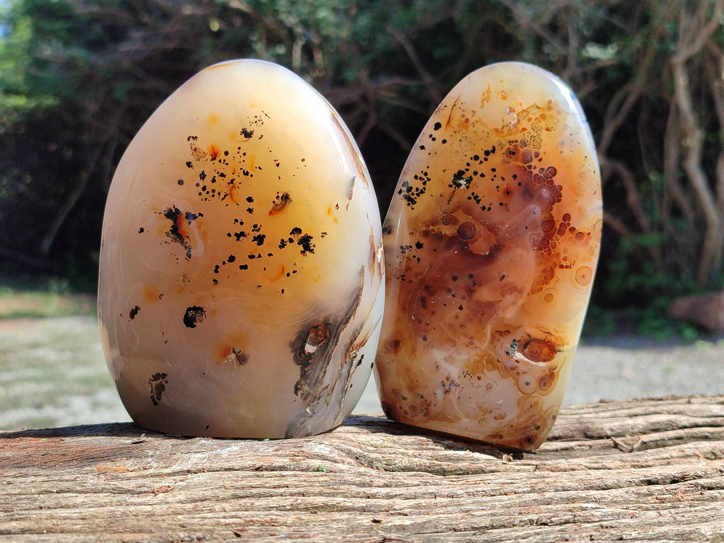 Polished Dendritic Agate Standing Free Forms x 2 From Madagascar - Toprock Gemstones and Minerals 