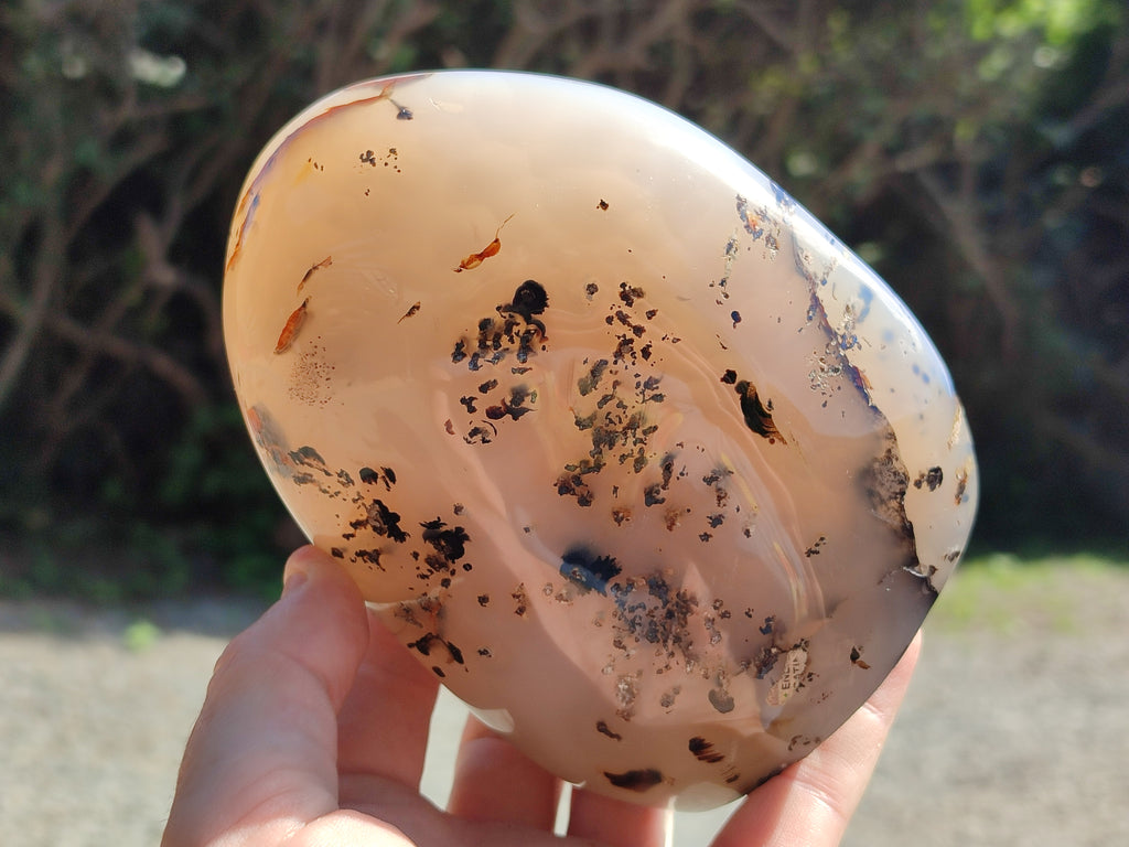 Polished Dendritic Agate Standing Free Forms x 2 From Madagascar - Toprock Gemstones and Minerals 