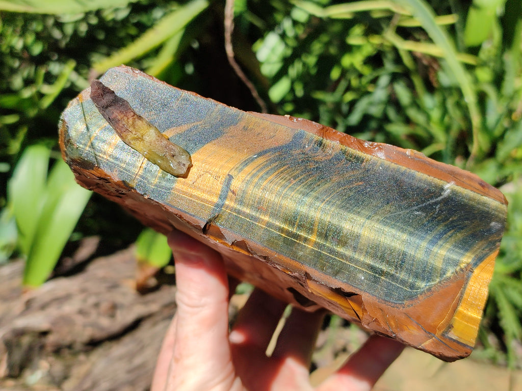 Polished On One Side Tiger's Eye Slabs x 2 From Prieska, South Africa - Toprock Gemstones and Minerals 