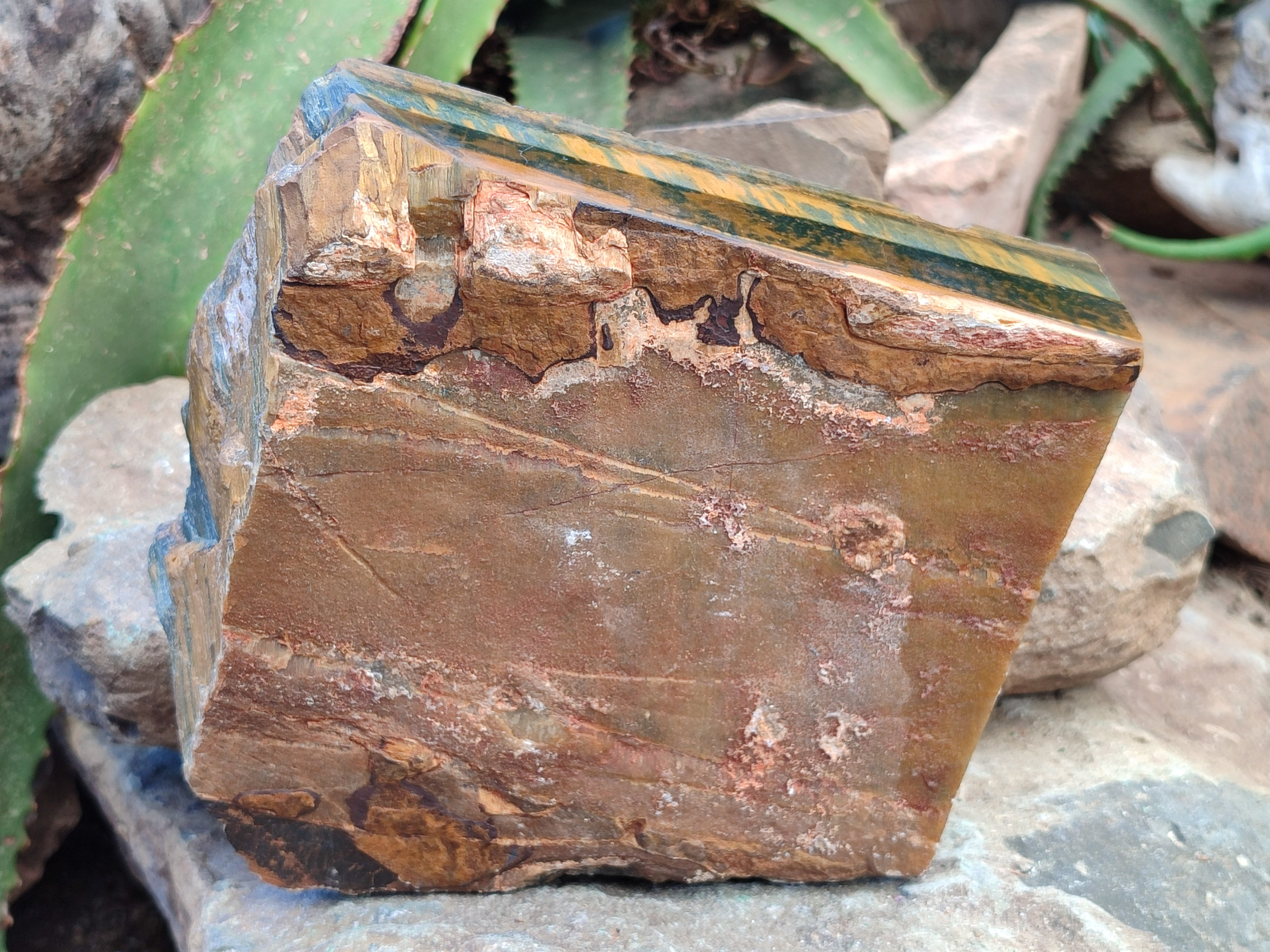 Polished On One Side Tiger's Eye Slabs x 2 From Prieska, South Africa - Toprock Gemstones and Minerals 