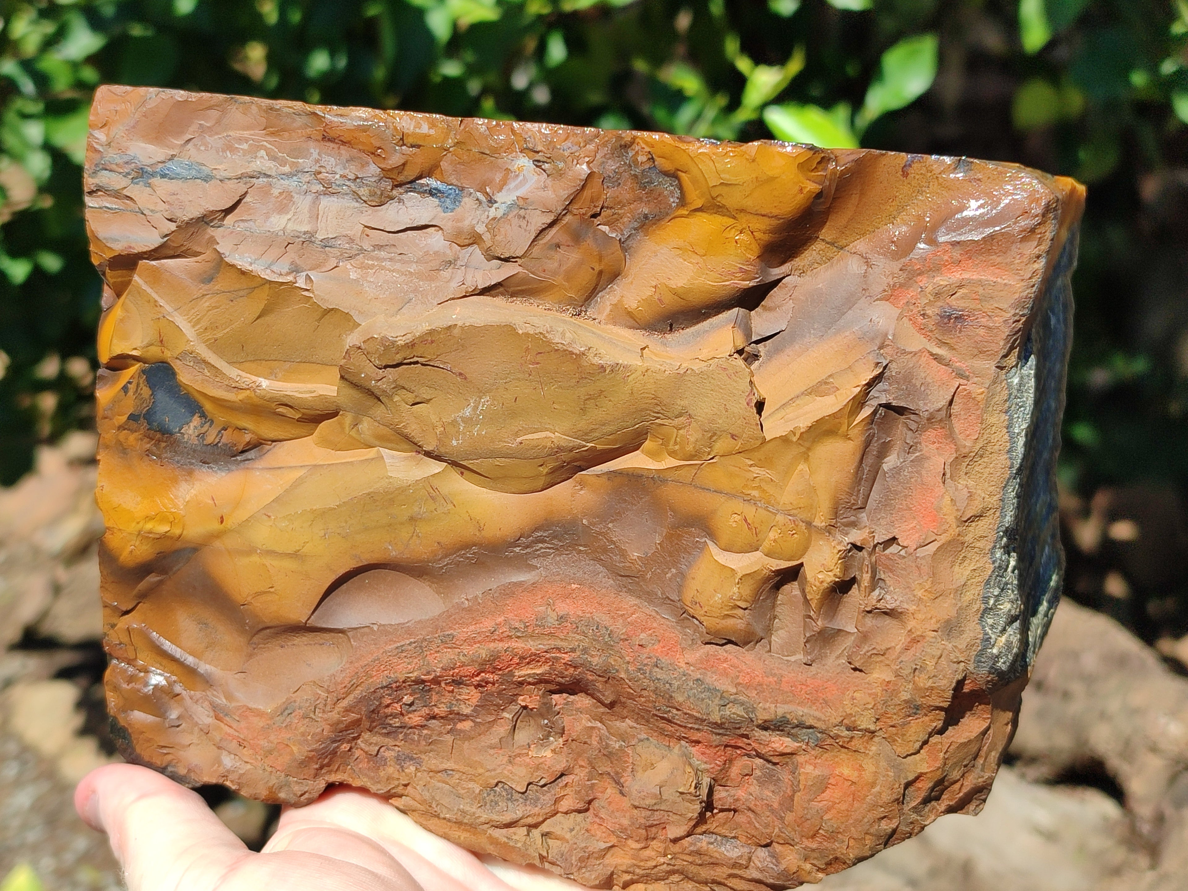 Polished On One Side Tiger's Eye Slabs x 2 From Prieska, South Africa - Toprock Gemstones and Minerals 