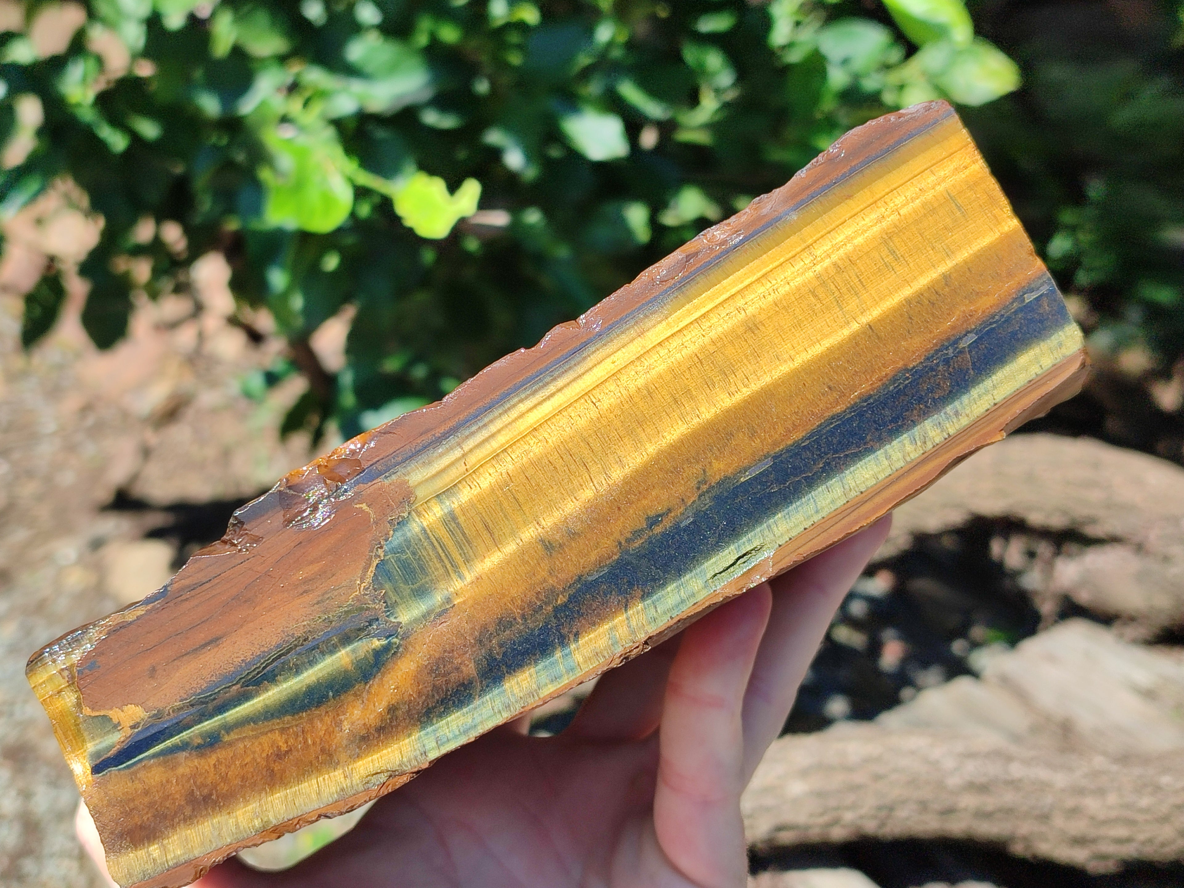 Polished On One Side Tiger's Eye Slabs x 2 From Prieska, South Africa - Toprock Gemstones and Minerals 