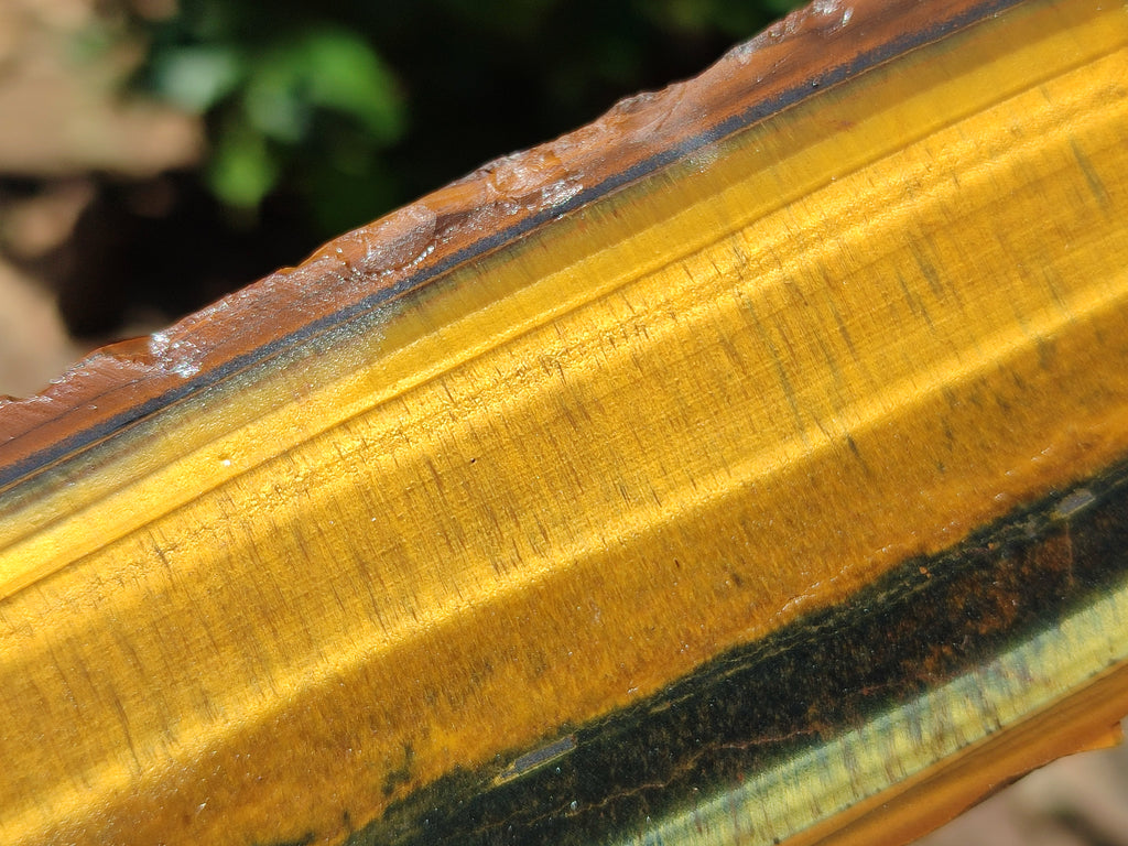 Polished On One Side Tiger's Eye Slabs x 2 From Prieska, South Africa - Toprock Gemstones and Minerals 