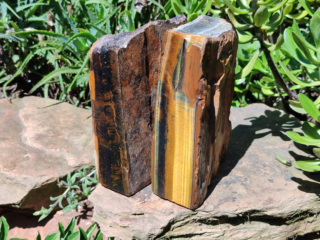 Polished On One Side Tiger's Eye Slabs x 2 From Prieska, South Africa - Toprock Gemstones and Minerals 