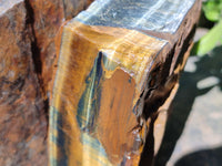 Polished On One Side Tiger's Eye Slabs x 2 From Prieska, South Africa