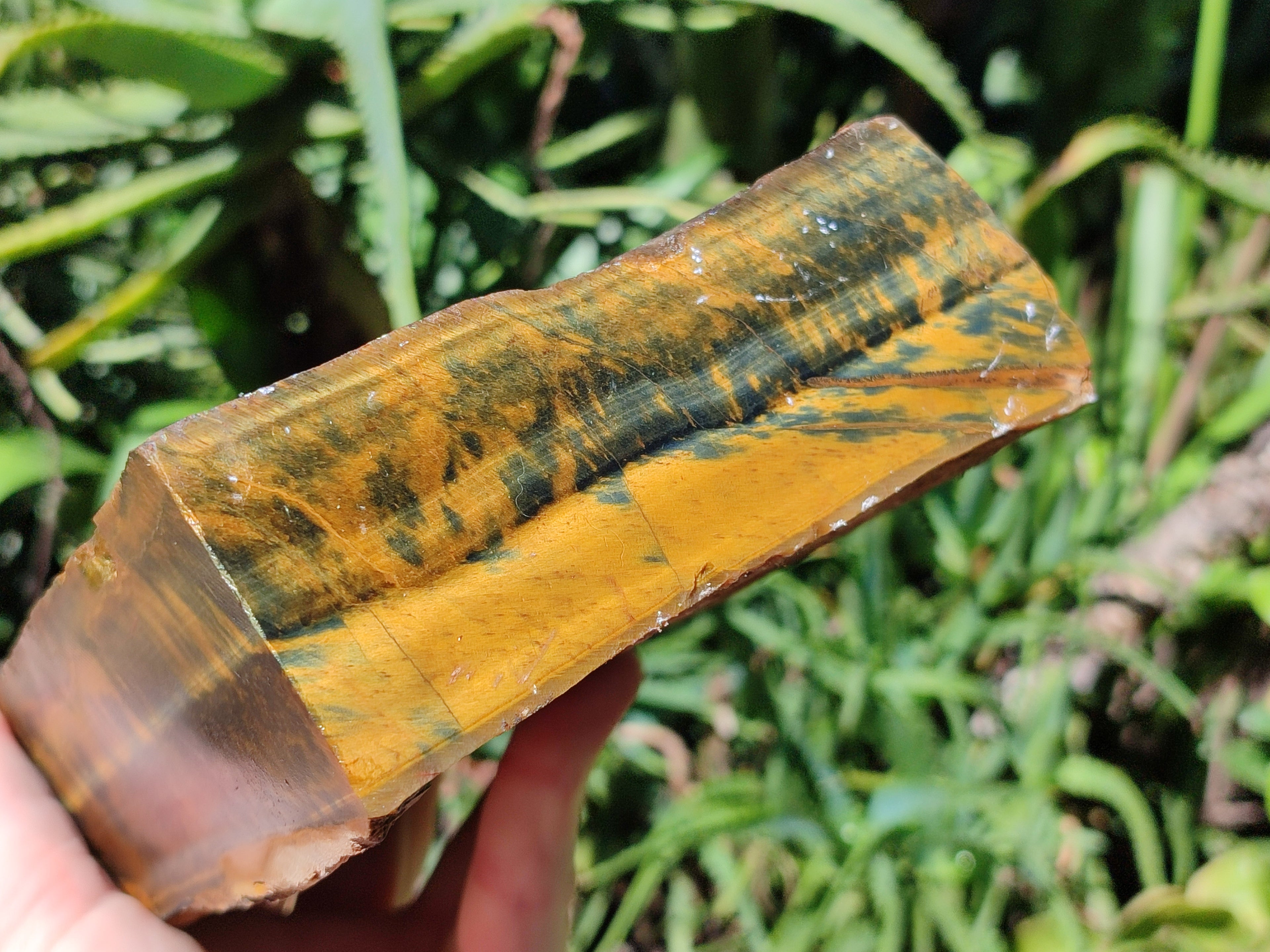 Polished On One Side Tiger's Eye Slabs x 2 From Prieska, South Africa - Toprock Gemstones and Minerals 