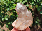 Natural Red Hematoid Quartz Clusters x 7 From Karoi, Zimbabwe - Toprock Gemstones and Minerals 