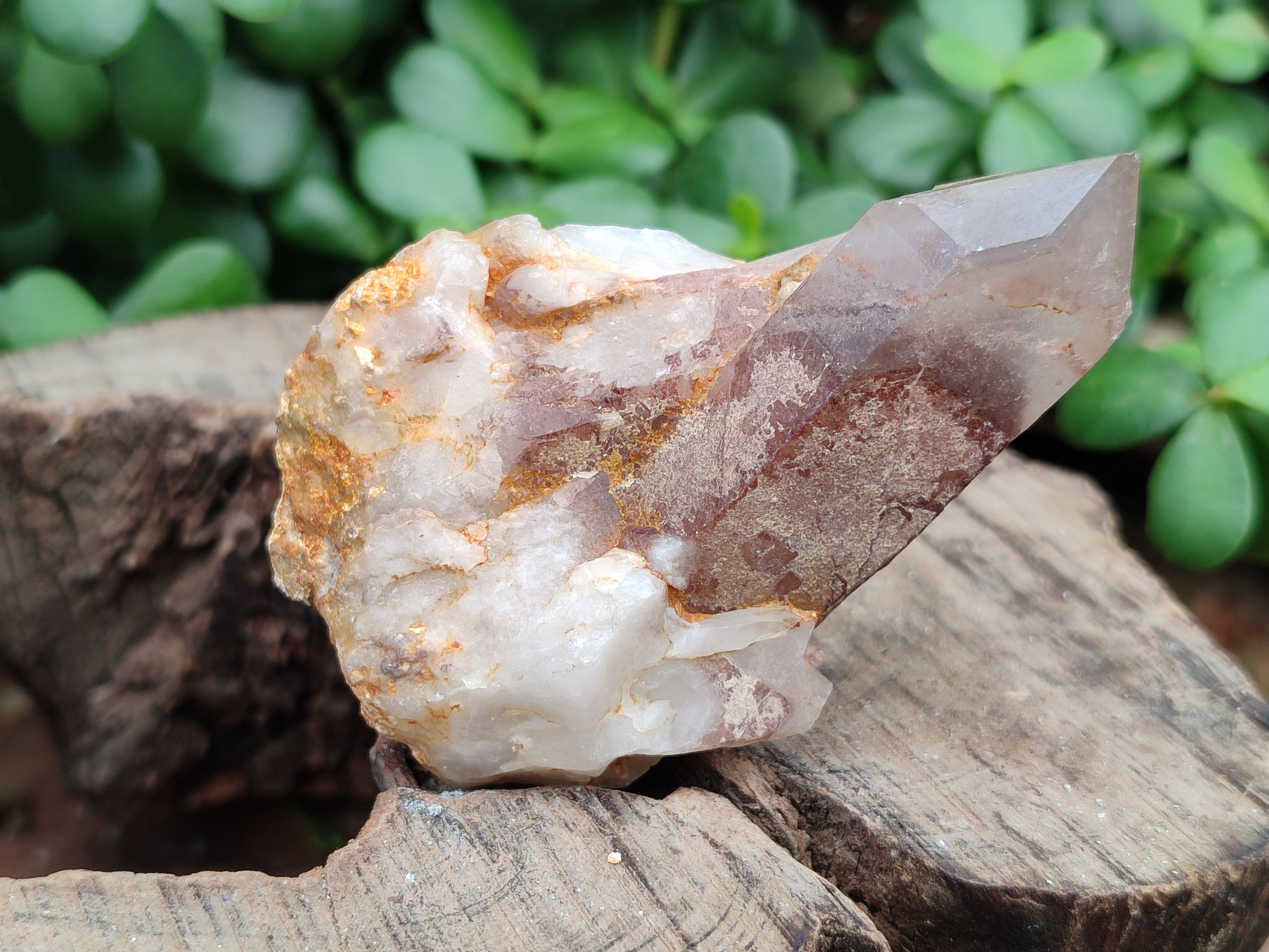Natural Red Hematoid Quartz Clusters x 7 From Karoi, Zimbabwe - Toprock Gemstones and Minerals 