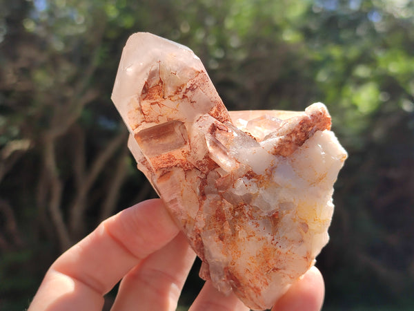 Natural Red Hematoid Quartz Clusters x 7 From Karoi, Zimbabwe