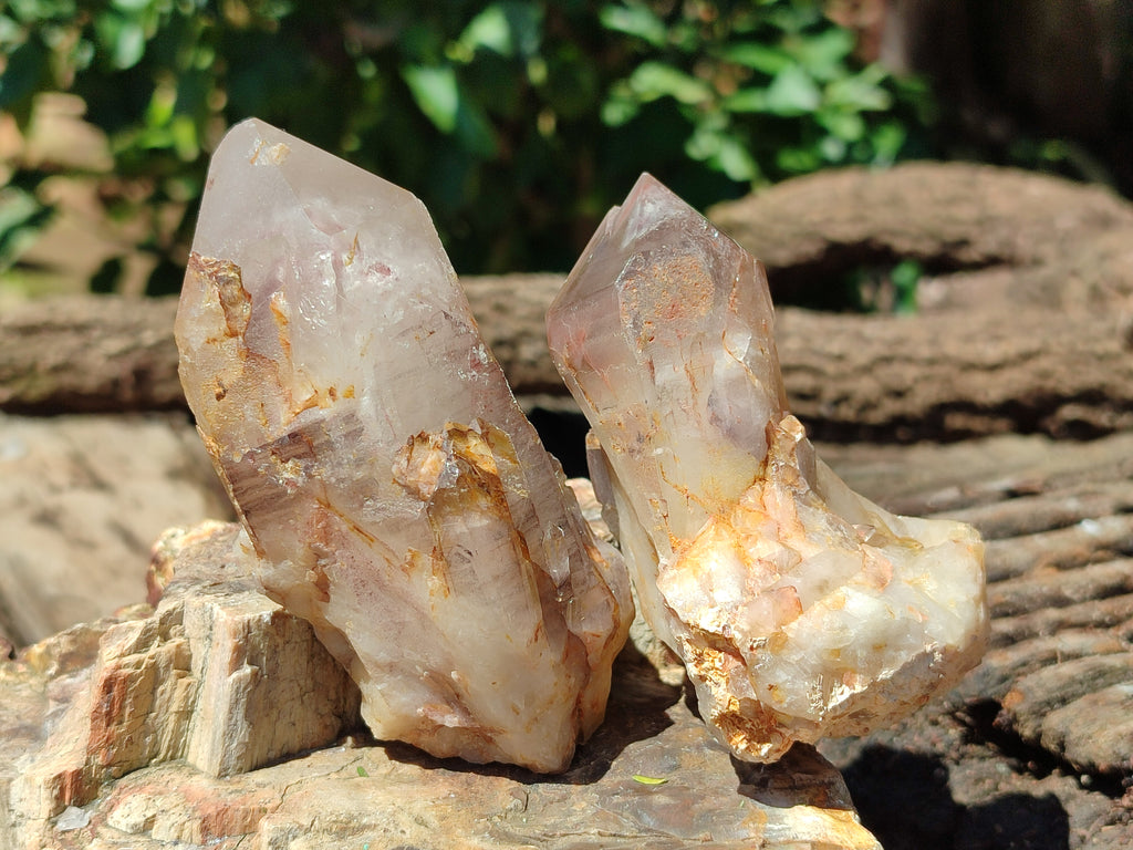Natural Red Hematoid Quartz Clusters x 7 From Karoi, Zimbabwe - Toprock Gemstones and Minerals 