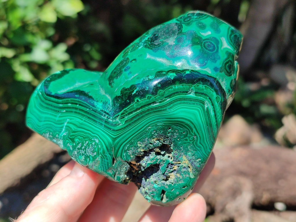 Polished Flower Banded Malachite Free Forms x 2 From Congo - Toprock Gemstones and Minerals 