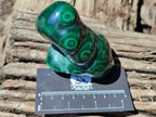 Polished Flower Banded Malachite Free Forms x 2 From Congo - Toprock Gemstones and Minerals 