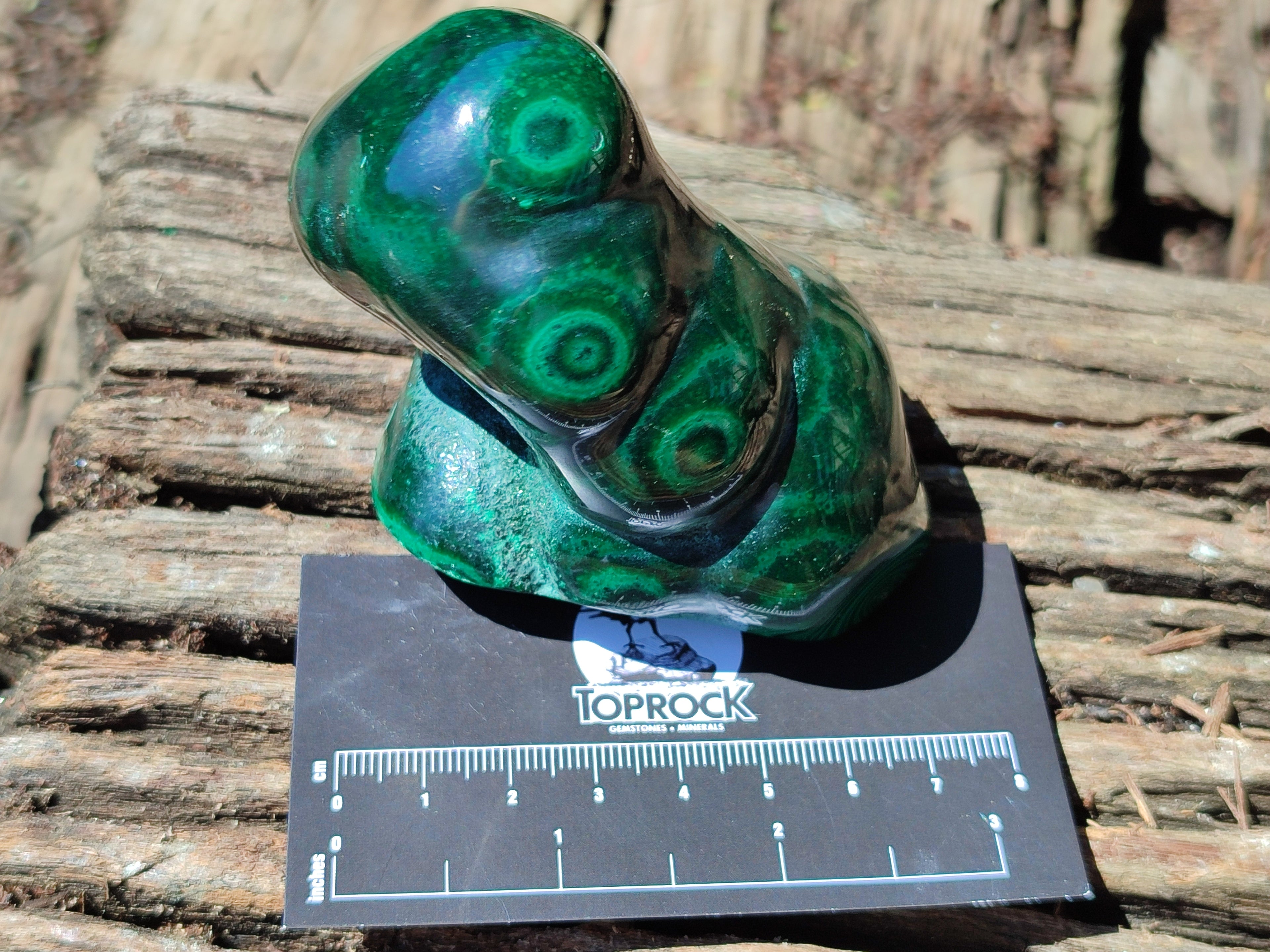 Polished Flower Banded Malachite Free Forms x 2 From Congo - Toprock Gemstones and Minerals 