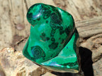 Polished Flower Banded Malachite Free Forms x 2 From Congo - Toprock Gemstones and Minerals 