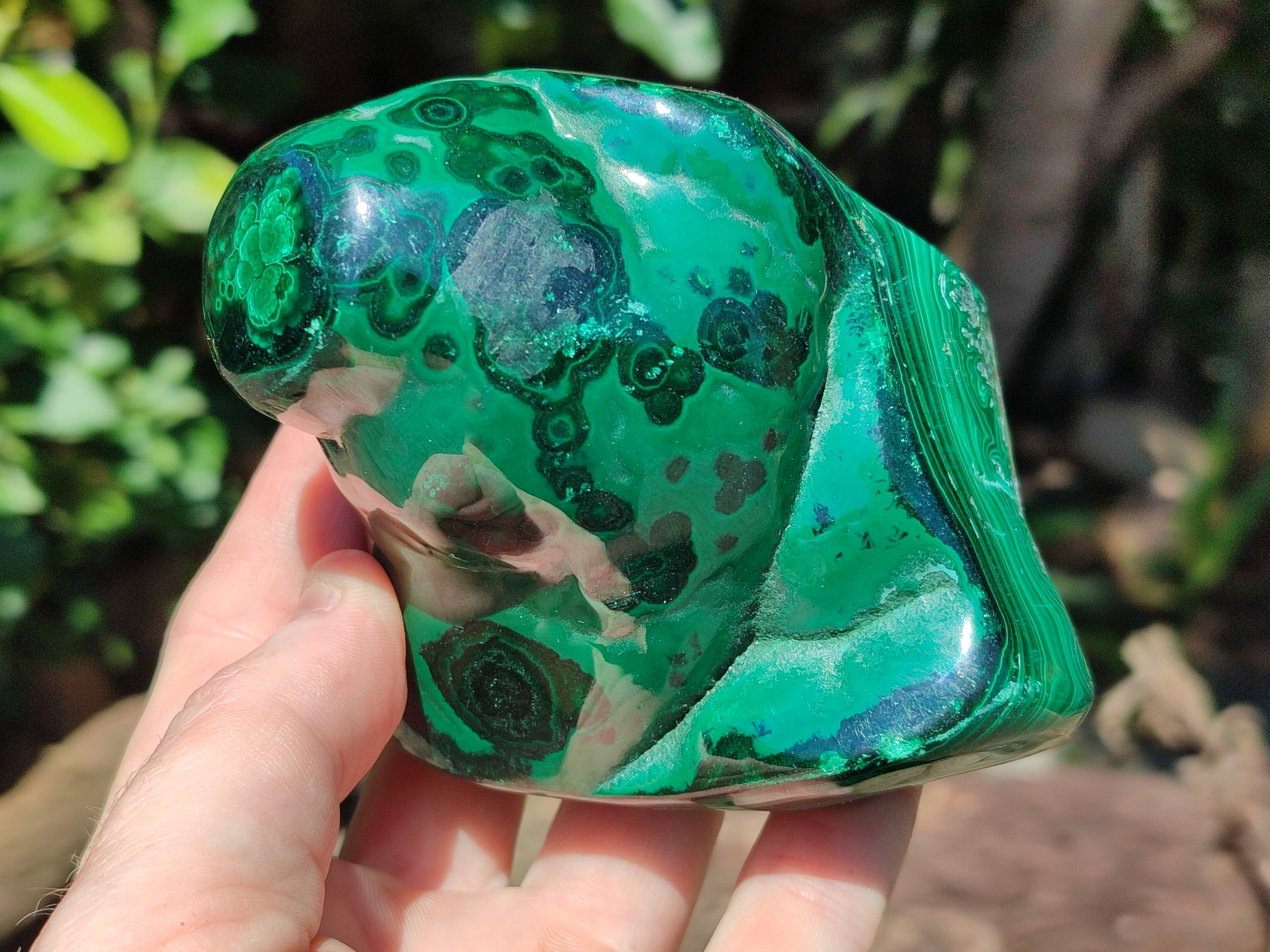 Polished Flower Banded Malachite Free Forms x 2 From Congo - Toprock Gemstones and Minerals 