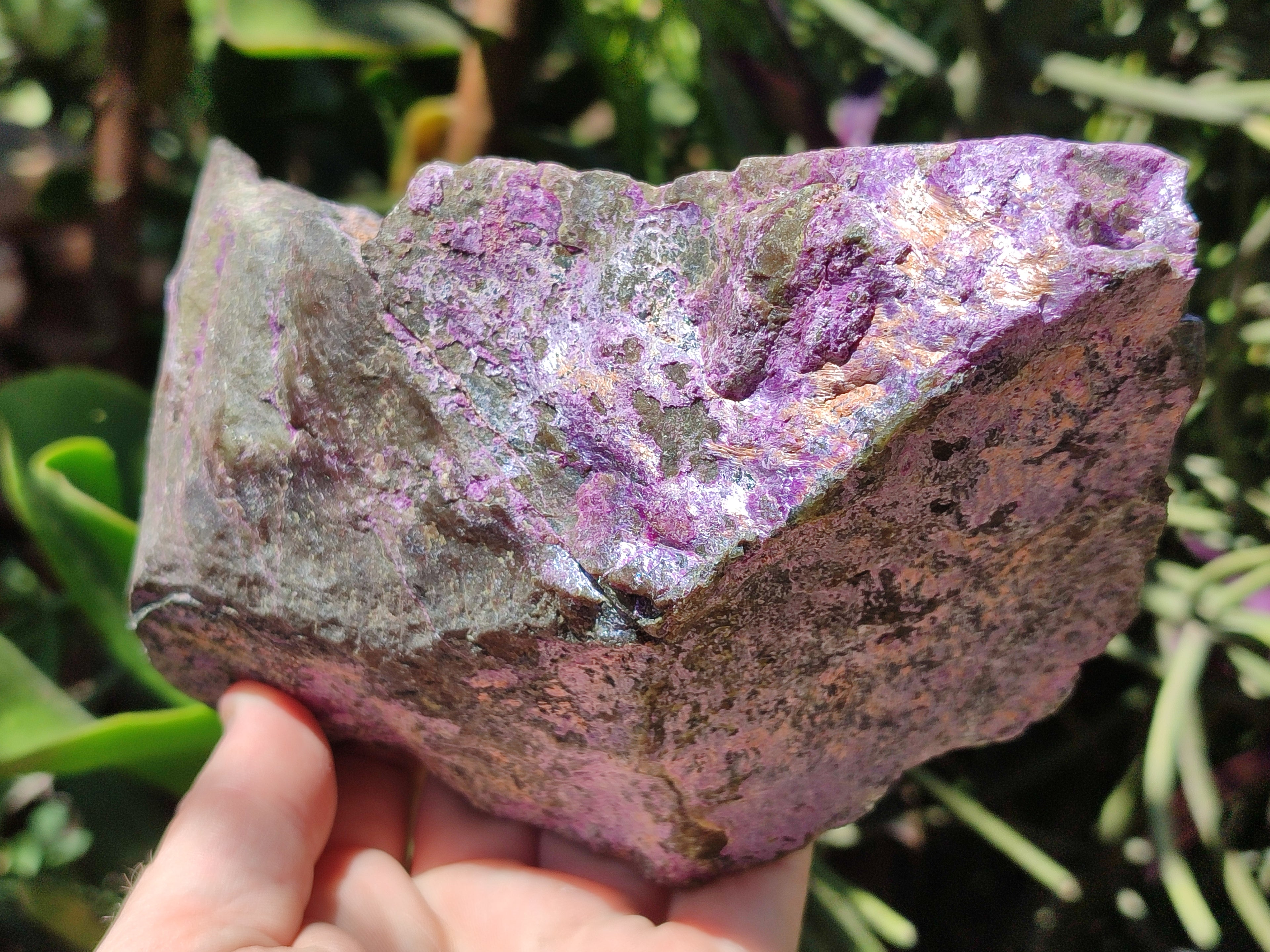 Natural Stichtite Cobbed Specimens x 6 From Barberton, South Africa - Toprock Gemstones and Minerals 