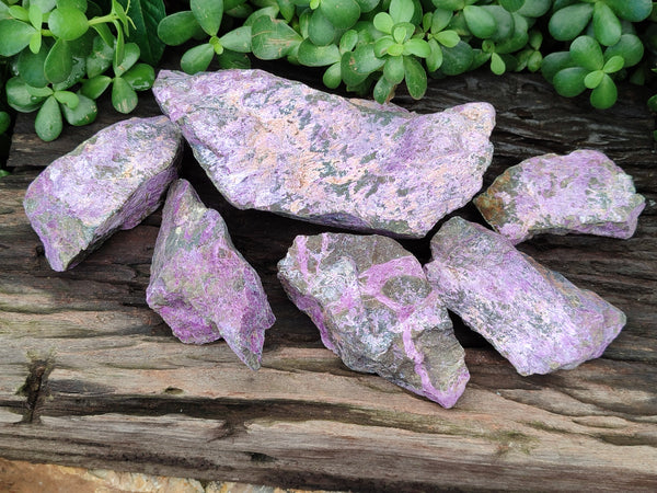 Natural Stichtite Cobbed Specimens x 6 From Barberton, South Africa - Toprock Gemstones and Minerals 