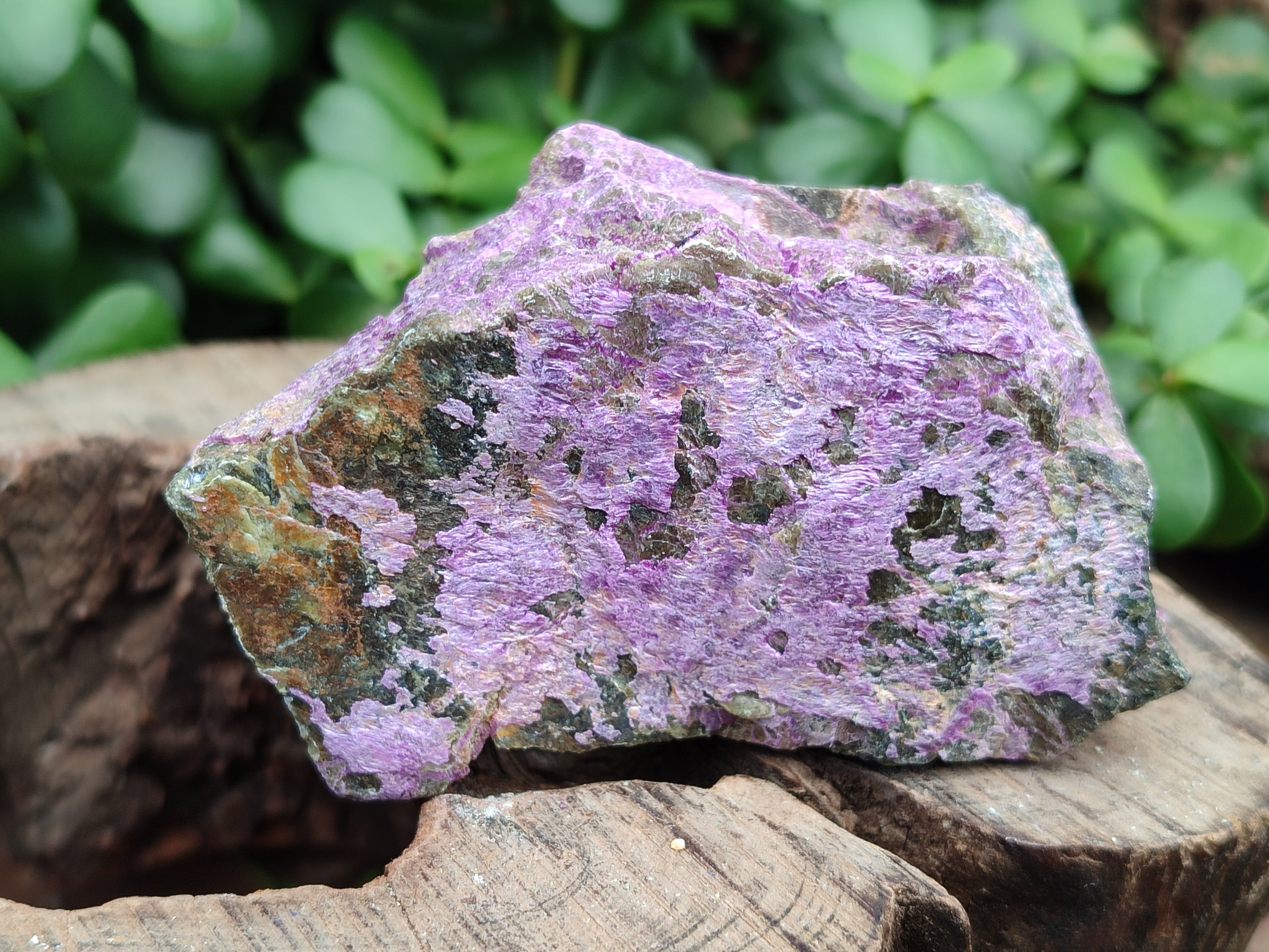 Natural Stichtite Cobbed Specimens x 6 From Barberton, South Africa - Toprock Gemstones and Minerals 