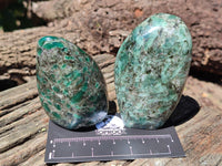 Polished Rare Emerald Mica In Matrix Standing Free Forms x 6 From Mutoko, Zimbabwe - Toprock Gemstones and Minerals 