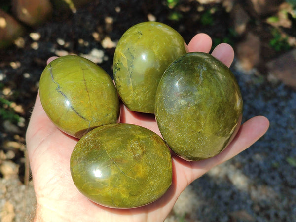 Polished Green Opal Palm Stones x 12 From Antsirabe, Madagascar