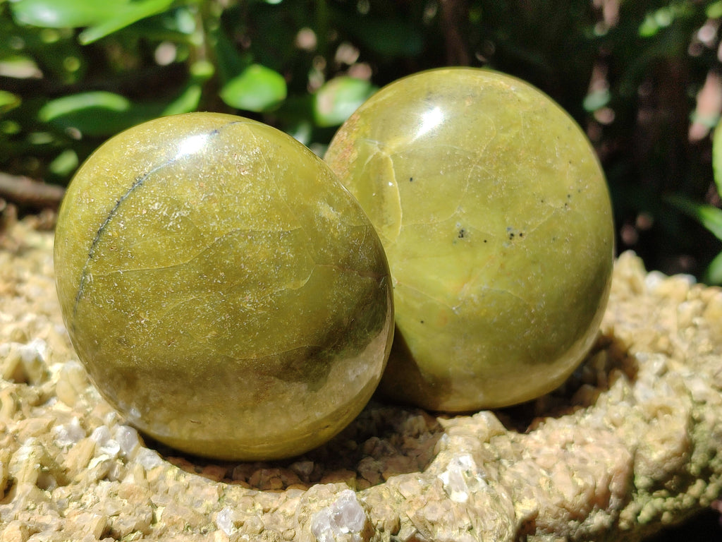 Polished Green Opal Palm Stones x 12 From Antsirabe, Madagascar - Toprock Gemstones and Minerals 