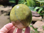 Polished Green Opal Palm Stones x 12 From Antsirabe, Madagascar - Toprock Gemstones and Minerals 